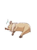 【アニマル診断】今日の運勢ランキング