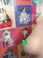 大分県から観光…