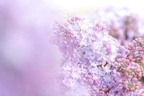 本日出勤します♡